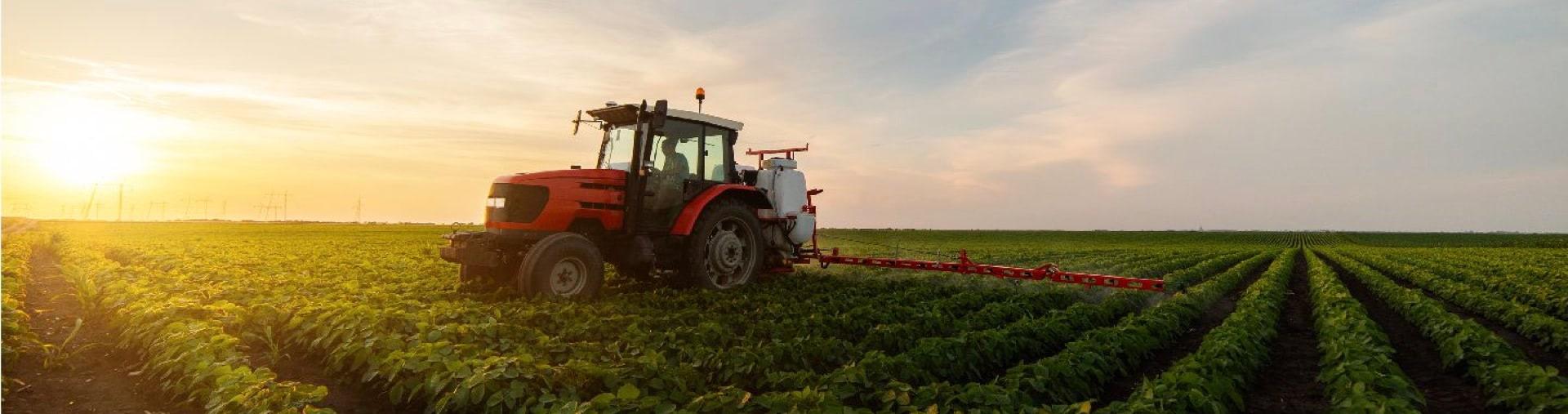 Goya refuerza la cadena de suministro de la finca al supermercado con su nueva alianza con agricultores colombianos.